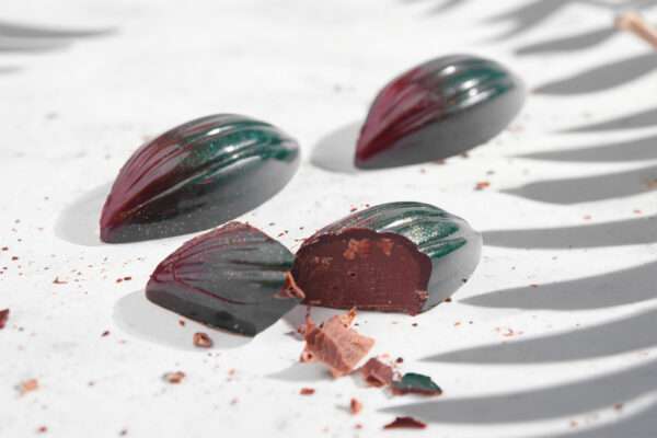 Premium Tray - Image 5